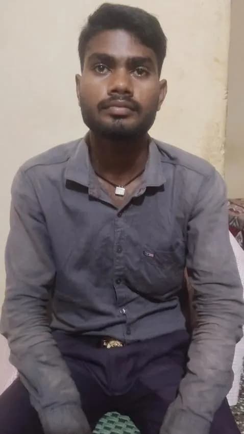 Gallery video