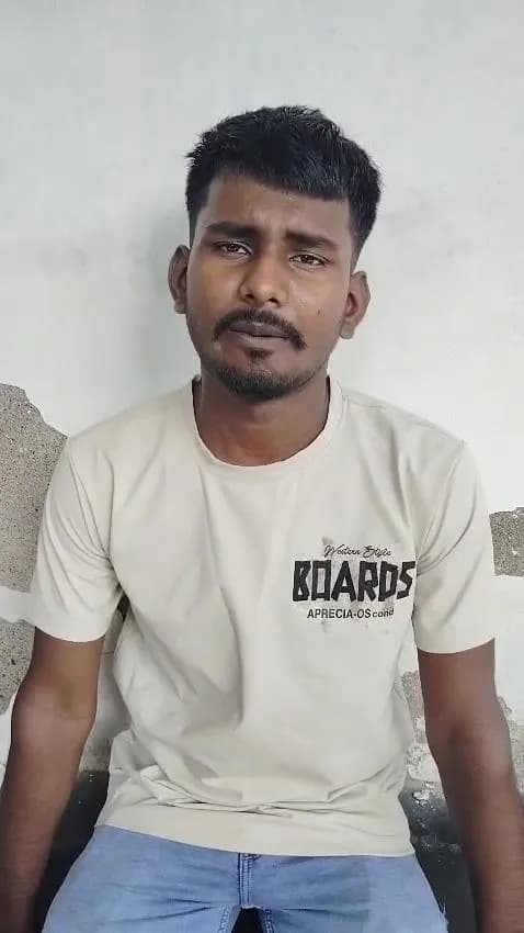 Gallery video