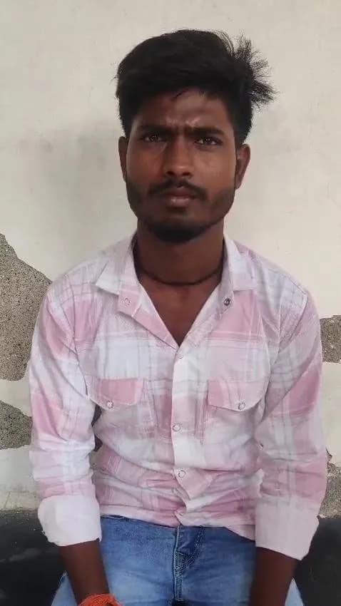 Gallery video